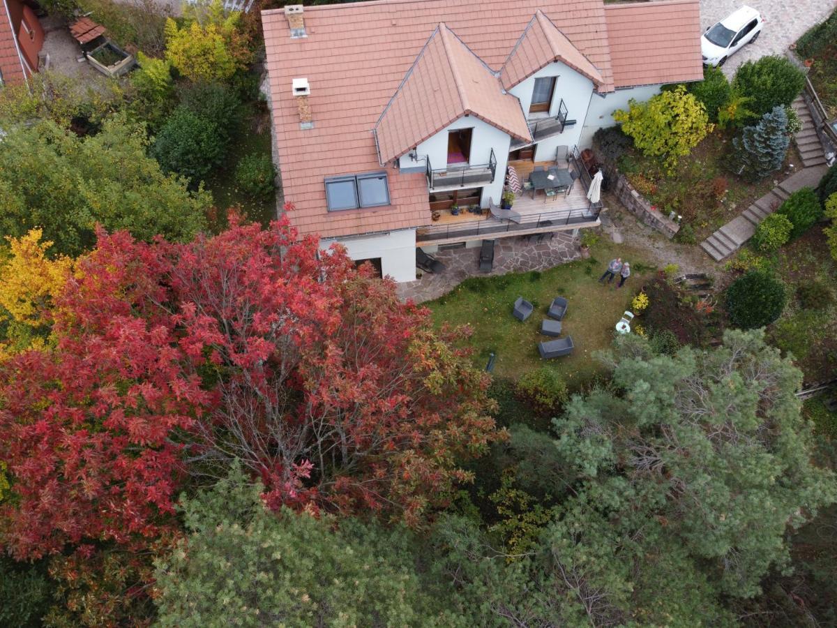 Chene Rouge Villa Lapoutroie Eksteriør billede
